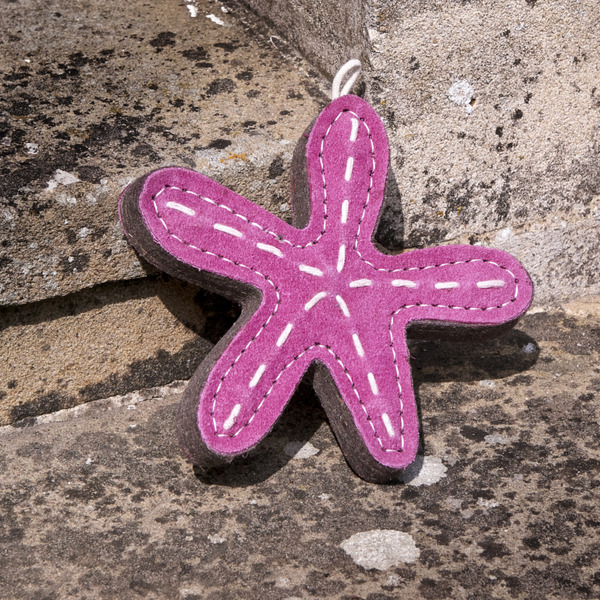 GREEN&WILDS 天然黃麻製犬用啃咬玩具 海星