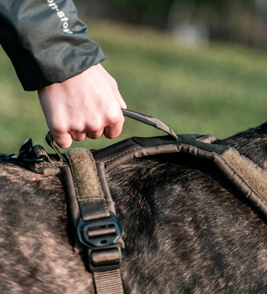 Non-stop LINE 胸背帶 WD工作犬系列 (把手款)