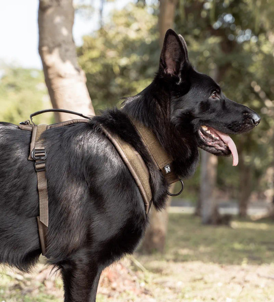 Non-stop LINE 胸背帶 WD工作犬系列 (把手款)