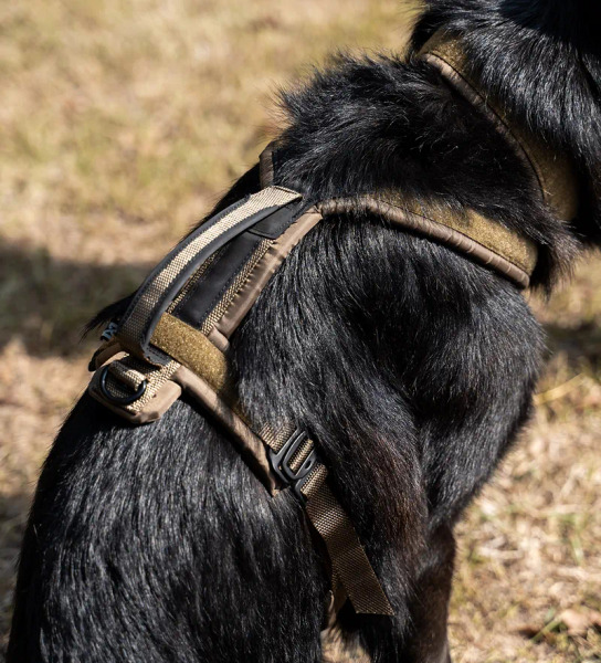 Non-stop LINE 胸背帶 WD工作犬系列 (把手款)