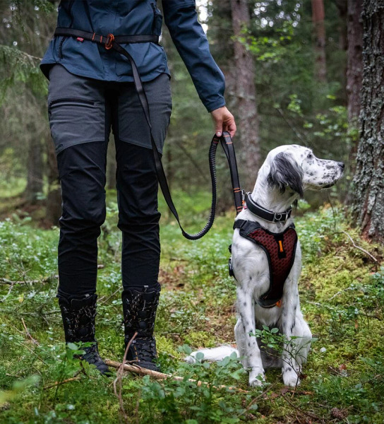 Non-stop BUNGEE 彈力運動牽繩(可調節版)