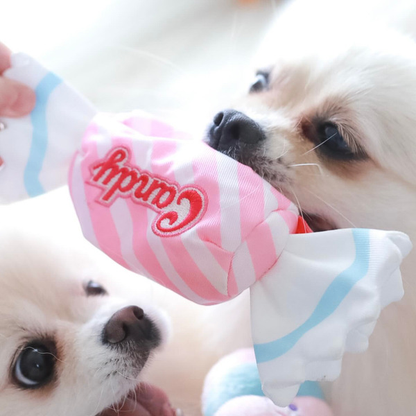 Bailey 吃甜甜系列