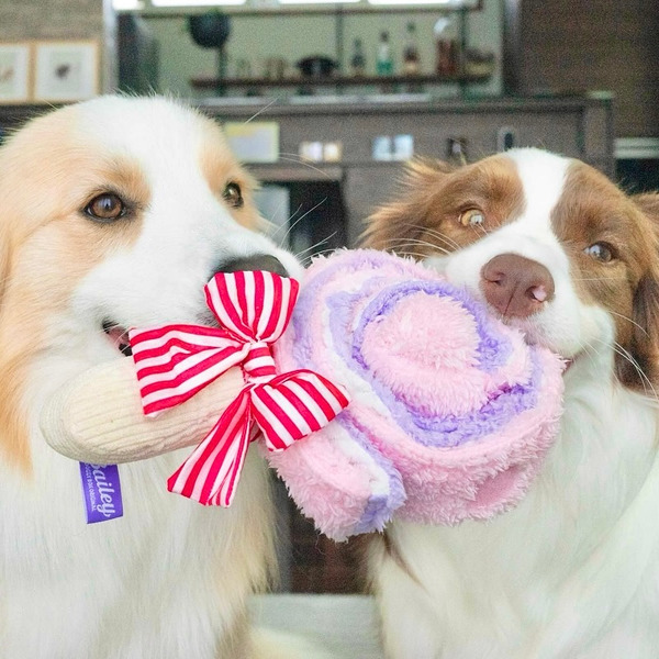 Bailey 吃甜甜系列