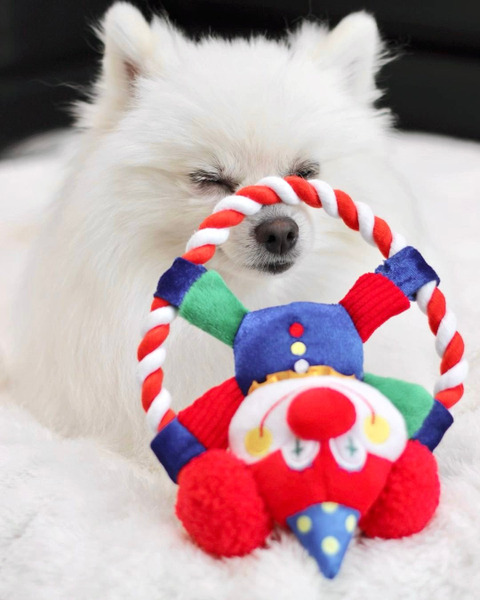 Bailey 小丑呼拉圈