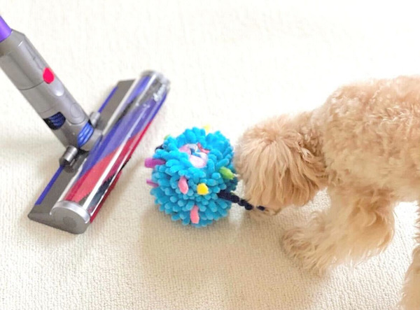 Bailey 清潔隊系列