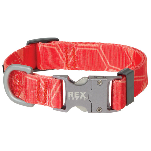 Rex Specs 舒適系列 金屬快扣項圈