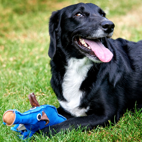 GREEN&WILDS 天然黃麻製犬用啃咬玩具 古怪迪諾魚