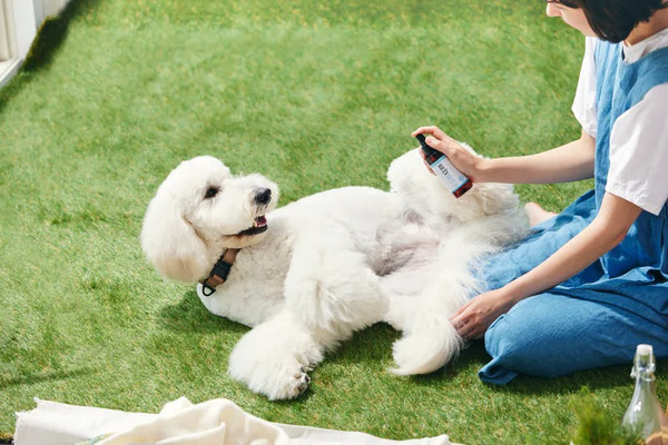 A.P.D.C 酷涼降溫噴霧 125ml