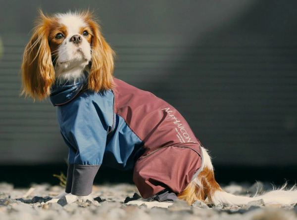 ALPHAICON 雨衣 2022年款