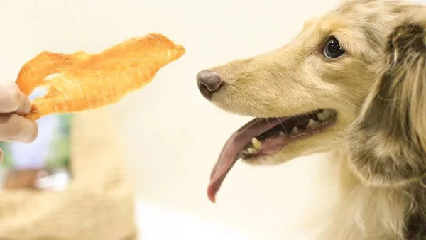 CoConilla 口口迷寵物鮮食 熱帶皇后雞胸肉