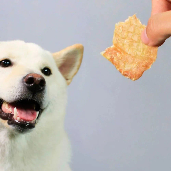 CoConilla 口口迷寵物鮮食 薑黃椰香嫩雞