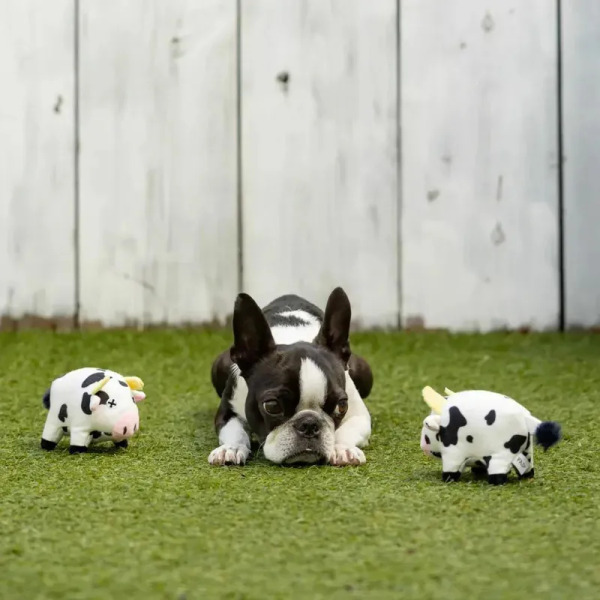 FAD+ 汪汪農場乳牛