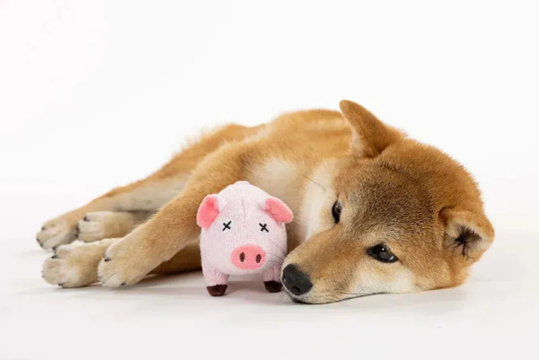 FAD+ 汪汪農場粉小豬