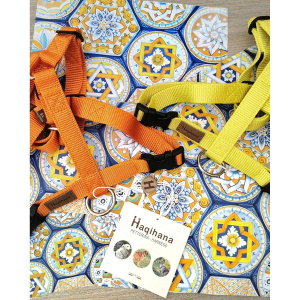 Haqihana 義大利手工經典犬用H型胸背帶