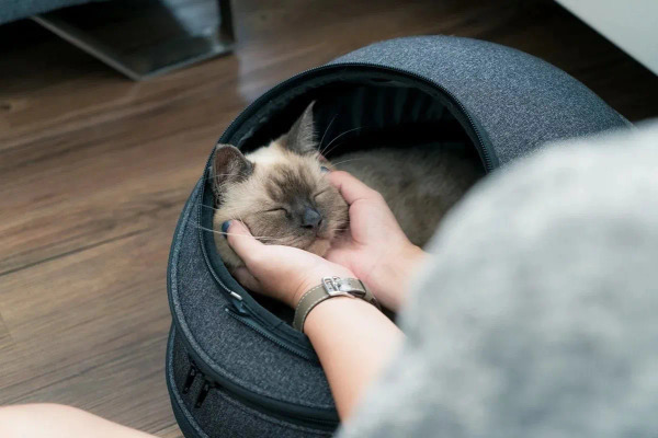 housmall Eggy 小宅包