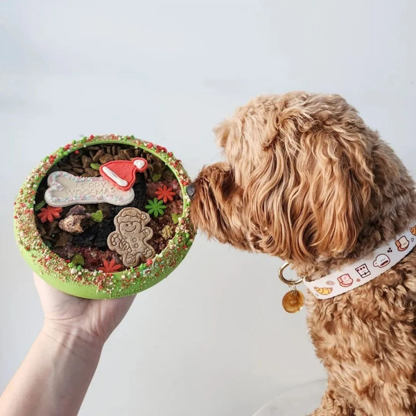 LickiMat UFO 舔食盤