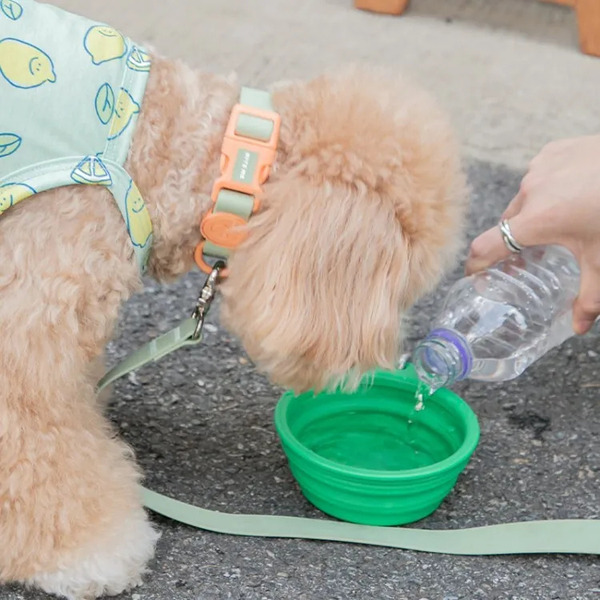 BITE ME 彩色寵物折疊碗