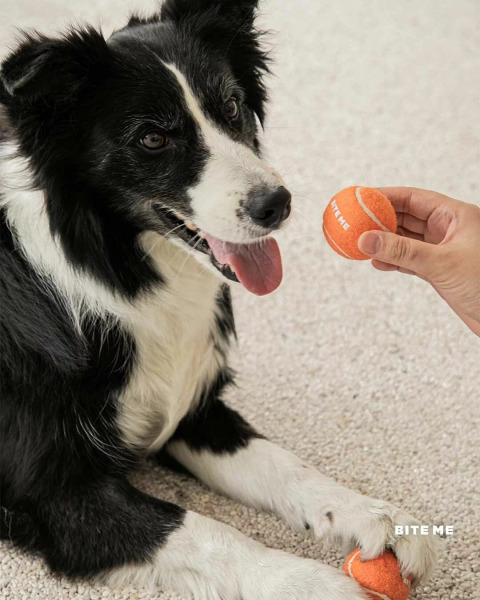 BITE ME 彈彈網球