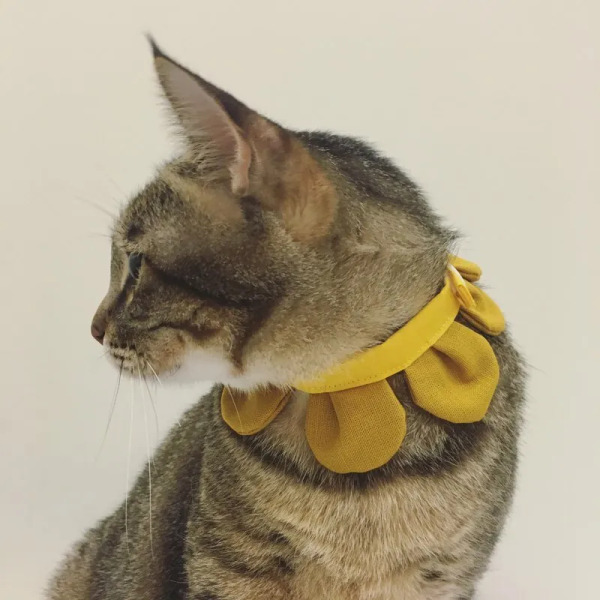 Circle Studio 一朵花領巾 素色