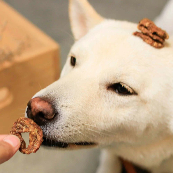 CoConilla 口口迷寵物鮮食 火雞洋芋多拿滋