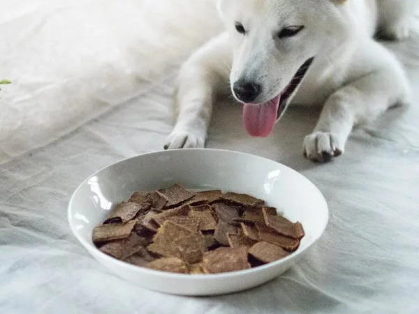 CoConilla 口口迷寵物鮮食 南瓜里肌輕乳酪