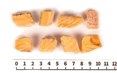 MichinokuFarm 日本凍乾 銀鮭凍乾 40g