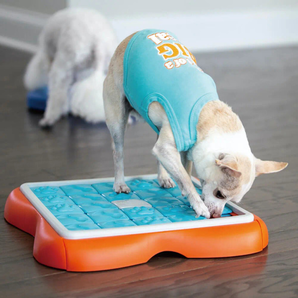 Nina Ottosson 機智狗 百寶巧拼  LV.3