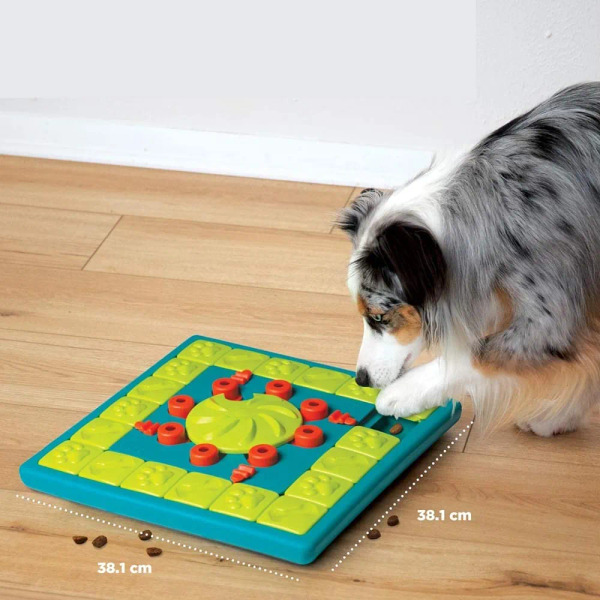 Nina Ottosson 狗大師 棋盤高手  LV.4