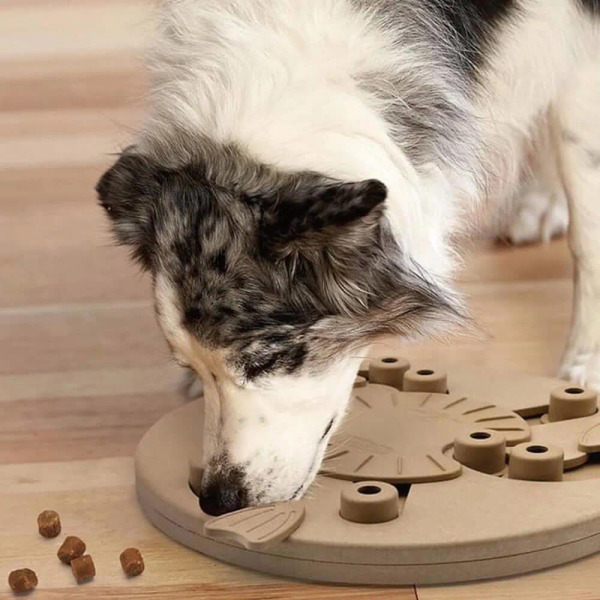 Nina Ottosson 冒險狗 尋寶基地 LV.3