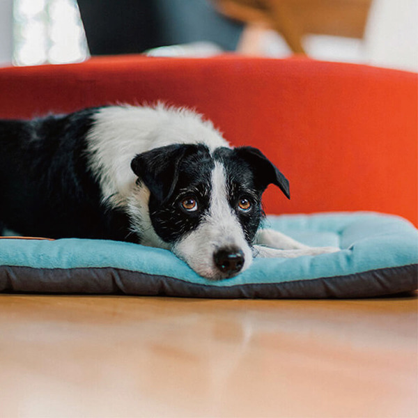 P.L.A.Y. Chill Pad 四季舒活墊