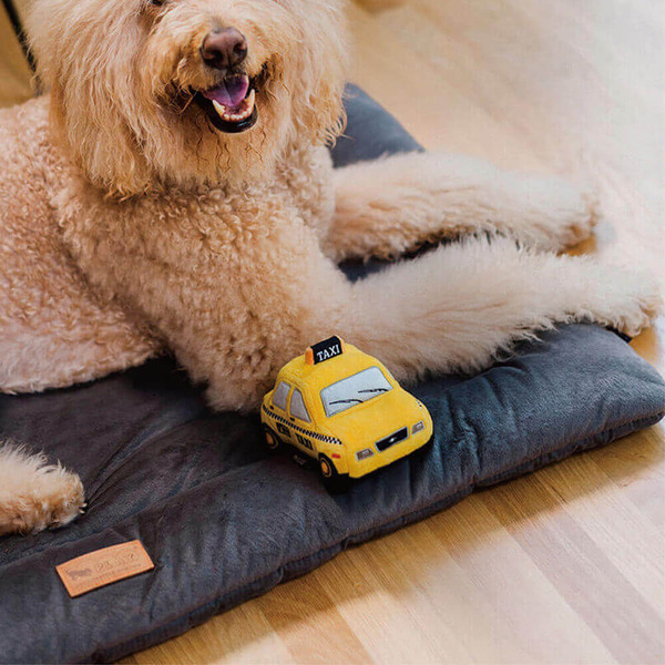 P.L.A.Y. Chill Pad 四季舒活墊