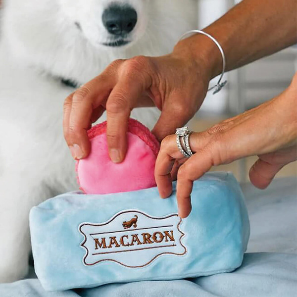 P.L.A.Y. 小狗咖啡館 馬卡龍