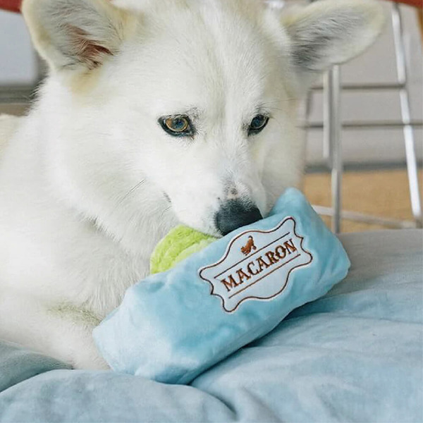 P.L.A.Y. 小狗咖啡館 馬卡龍