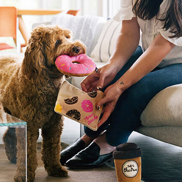 P.L.A.Y. 小狗咖啡館 甜甜圈