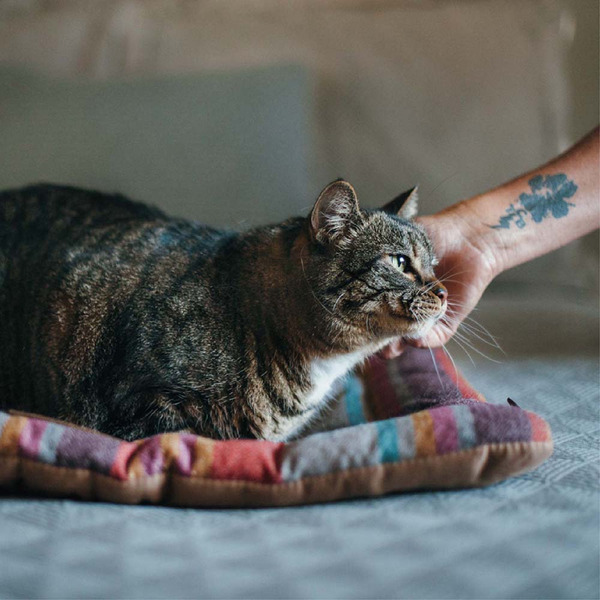 P.L.A.Y. Chill Pad 地平線舒活墊