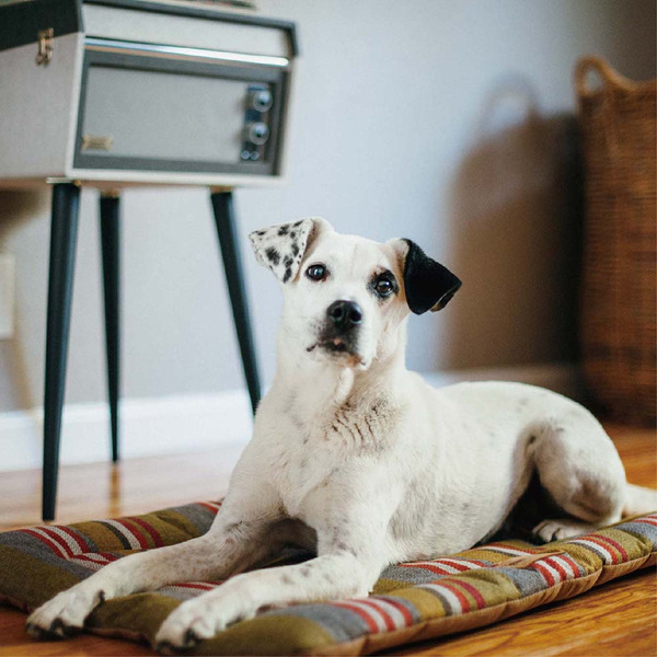 P.L.A.Y. Chill Pad 地平線舒活墊