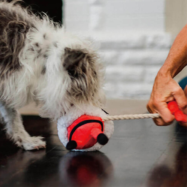 P.L.A.Y. 汪汪聖誕 笨笨聖誕老人