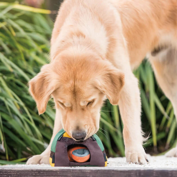 P.L.A.Y. 科爾賓露營 汪汪帳篷