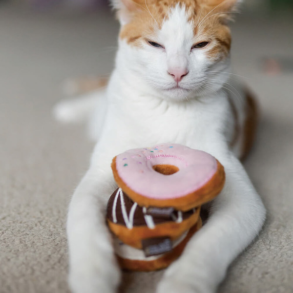 P.L.A.Y. 狂野貓咪 巧克力甜甜圈