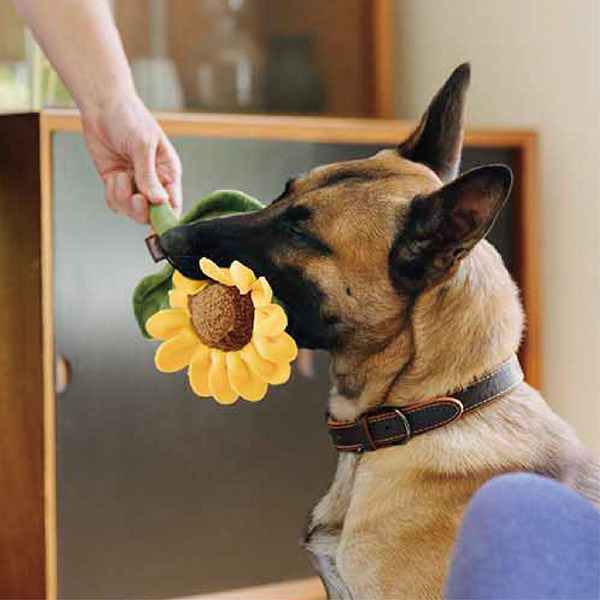 P.L.A.Y. 盛開花園 明亮向日葵