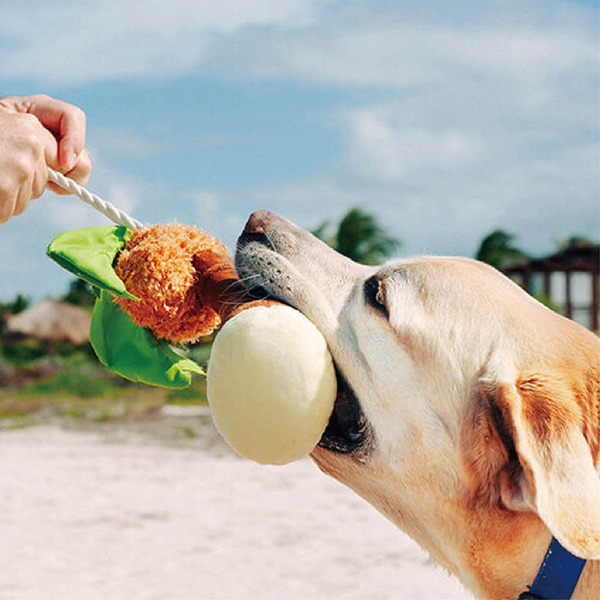 P.L.A.Y. 熱帶天堂 拔河棕櫚樹