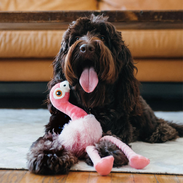 P.L.A.Y. 魅力珍禽 芙蘿拉火鶴