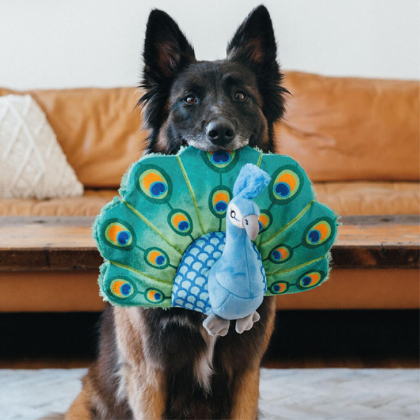 P.L.A.Y. 魅力珍禽 伯希孔雀