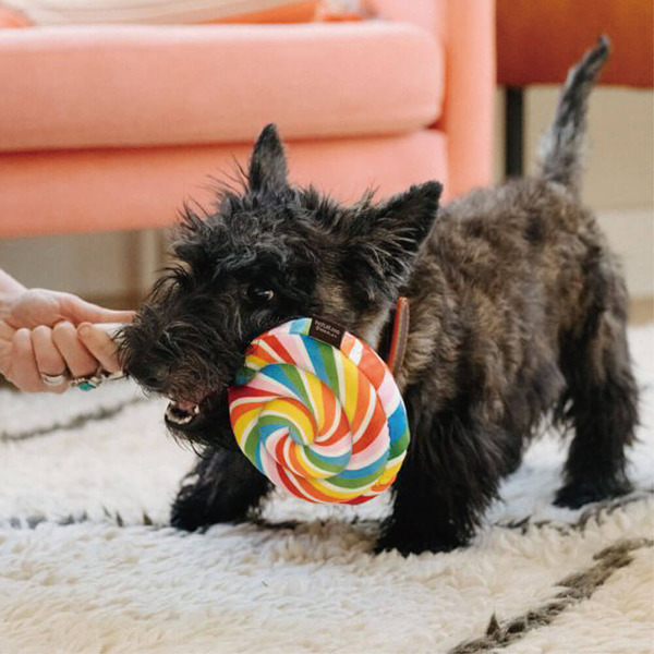 P.L.A.Y. 零食特攻隊 小狗棒棒糖