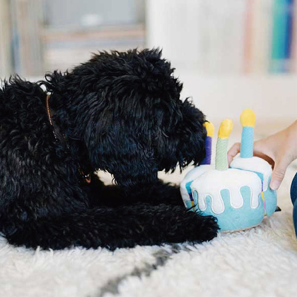 P.L.A.Y. 歡樂派對 小狗蛋糕