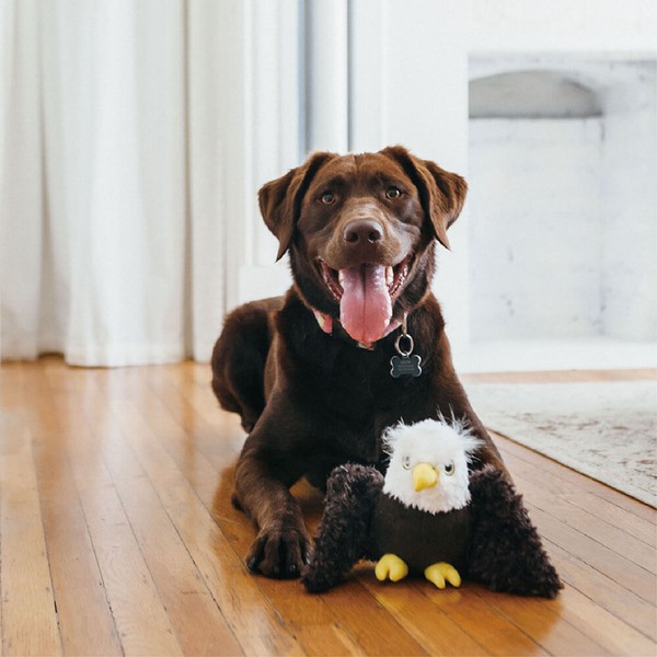 P.L.A.Y. 魅力珍禽 埃德加老鷹