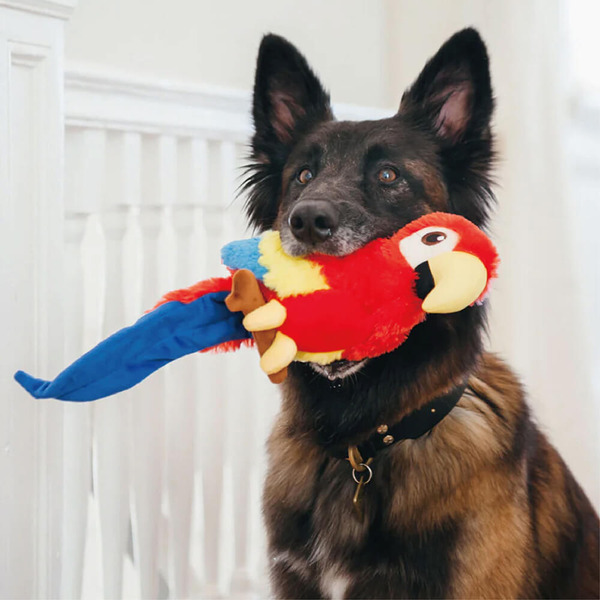 P.L.A.Y. 魅力珍禽 寶拉鸚鵡