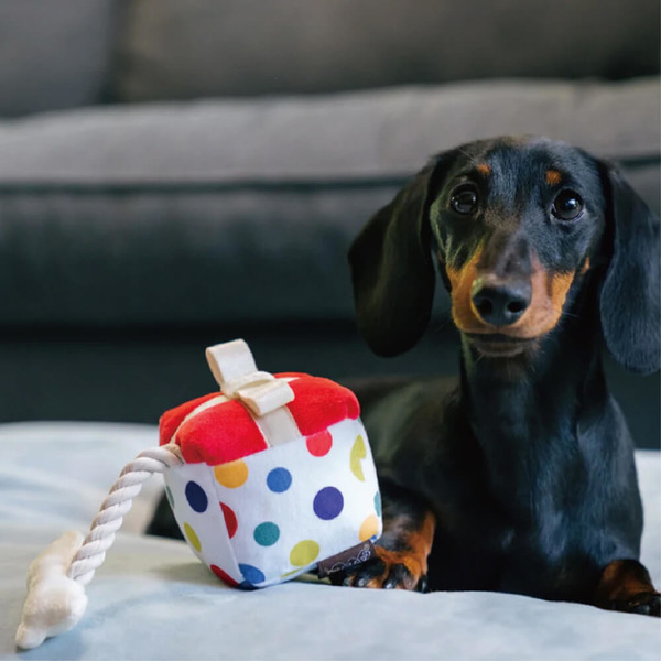 P.L.A.Y. 歡樂派對 迷你小狗禮物