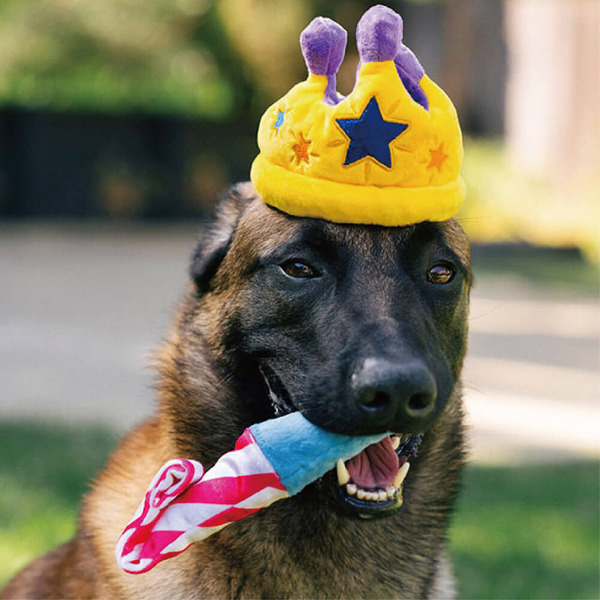 P.L.A.Y. 歡樂派對 派對號角