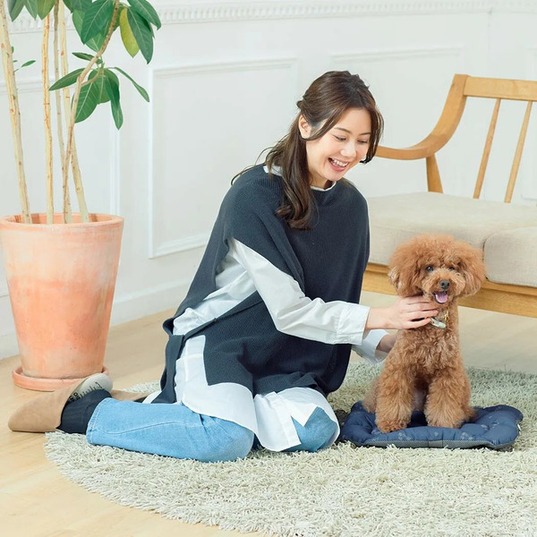 PETiCO iCO 車用四季軟墊